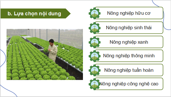 Giáo án điện tử Địa Lí 9 Cánh diều Bài 5: Thực hành: Viết báo cáo ngắn về mô hình sản xuất nông nghiệp | PPT Địa 9