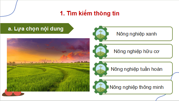 Giáo án điện tử Địa Lí 9 Chân trời sáng tạo Bài 5: Thực hành: Viết báo cáo về một số mô hình sản xuất nông nghiệp có hiệu quả | PPT Địa 9