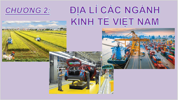 Giáo án điện tử Địa Lí 9 Chân trời sáng tạo Bài 8: Dịch vụ | PPT Địa 9