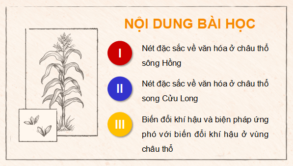 Giáo án điện tử Địa Lí 9 Cánh diều Chủ đề 2: Văn minh châu thổ sông Hồng và sông Cửu Long | PPT Địa 9
