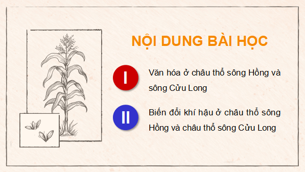 Giáo án điện tử Địa Lí 9 Kết nối tri thức Chủ đề 2: Văn minh châu thổ sông Hồng và sông Cửu Long | PPT Địa 9