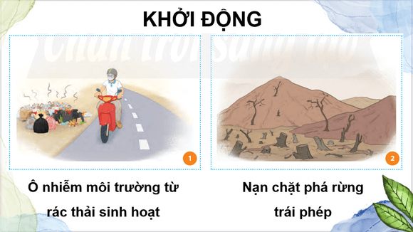 Giáo án điện tử GDCD 8 Chân trời sáng tạo Bài 5: Bảo vệ môi trường và tài nguyên thiên nhiên | PPT Giáo dục công dân 8