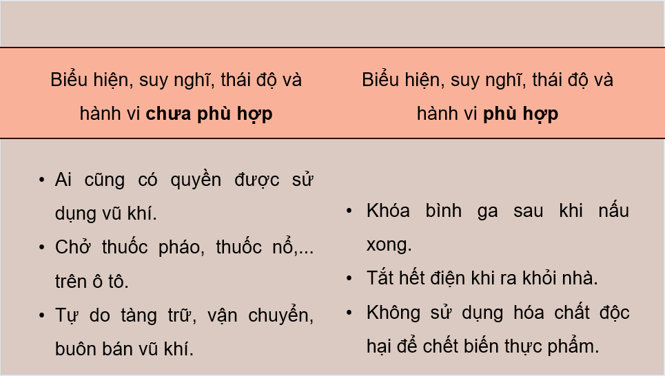 Giáo án điện tử GDCD 8 Chân trời sáng tạo Bài 9: Phòng ngừa tai nạn vũ khí, cháy, nổ và các chất độc hại | PPT Giáo dục công dân 8