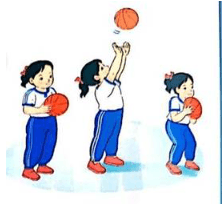 Giáo án Giáo dục thể chất lớp 1 Kết nối tri thức Bài 1: Làm quen với bóng (ảnh 2)