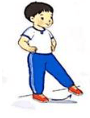 Giáo án Giáo dục thể chất lớp 1 Kết nối tri thức Bài 3: Vận động của chân (ảnh 2)