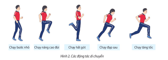 Giáo án GDTC 10 Kết nối tri thức Bài 1: Kĩ thuật di chuyển