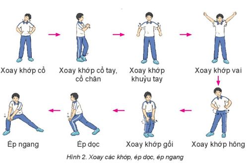 Giáo án GDTC 10 Kết nối tri thức Bài 1: Kĩ thuật di chuyển đơn bước