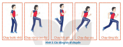 Giáo án GDTC 10 Kết nối tri thức Bài 1: Kĩ thuật phát bóng thấp tay trước mặt