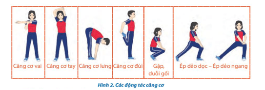 Giáo án GDTC 10 Kết nối tri thức Bài 1: Kĩ thuật tư thế chuẩn bị
