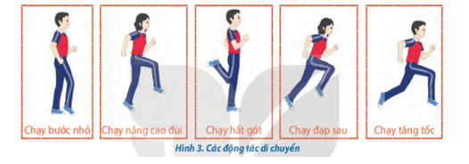 Giáo án GDTC 10 Kết nối tri thức Bài 1: Kĩ thuật tư thế chuẩn bị