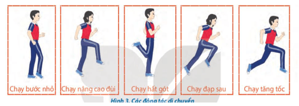 Giáo án GDTC 10 Kết nối tri thức Bài 2: Kĩ thuật đập bóng chính diện theo phương lấy đà