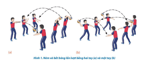 Giáo án GDTC 10 Kết nối tri thức Bài 2: Kĩ thuật đập bóng chính diện theo phương lấy đà