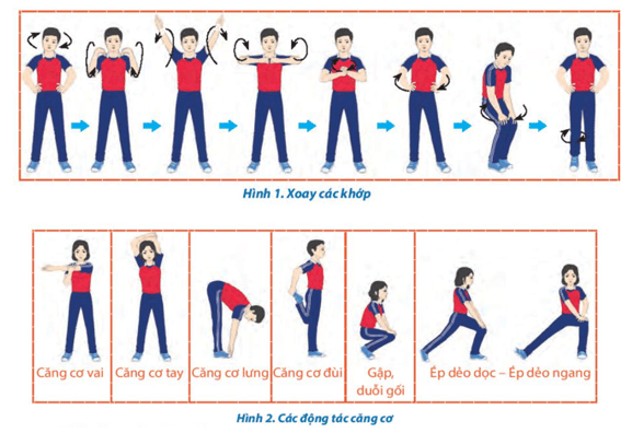 Giáo án GDTC 10 Kết nối tri thức Bài 2: Kĩ thuật đập bóng chính diện theo phương lấy đà