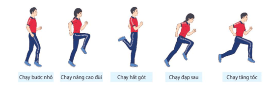 Giáo án GDTC 10 Kết nối tri thức Bài 3: Kĩ thuật bắt và chuyển bóng bằng hai tay trước ngực