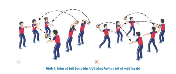 Giáo án GDTC 10 Kết nối tri thức Bài 3: Kĩ thuật chắn bóng
