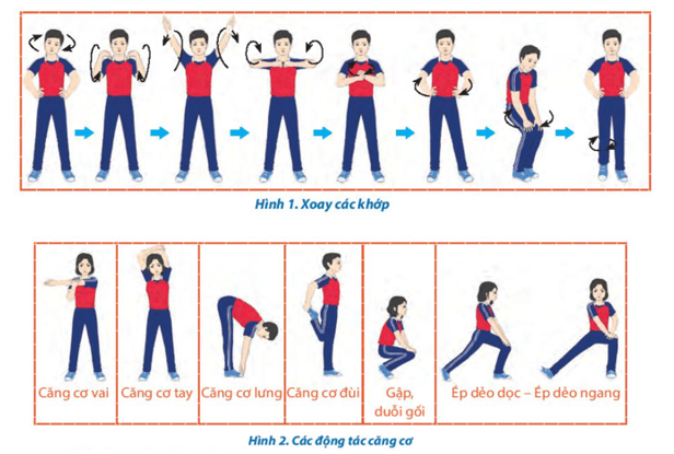 Giáo án GDTC 10 Kết nối tri thức Bài 3: Kĩ thuật chắn bóng