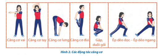 Giáo án GDTC 10 Kết nối tri thức Bài 4: Kĩ thuật chuyển bóng cao tay bằng hai tay trước mặt