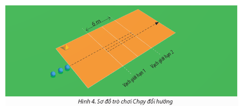 Giáo án GDTC 11 Kết nối tri thức Bài 1: Kĩ thuật nhoài người đỡ bóng bằng một tay
