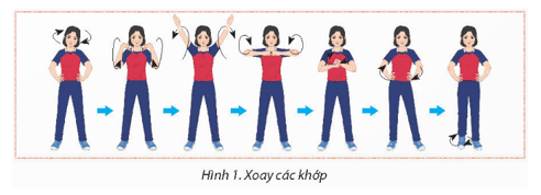 Giáo án GDTC 11 Kết nối tri thức Bài 1: Kĩ thuật nhoài người đỡ bóng bằng một tay