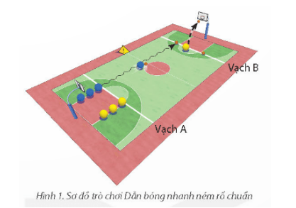 Giáo án GDTC 11 Kết nối tri thức Bài 1: Phối hợp động tác giả và kĩ thuật dẫn bóng