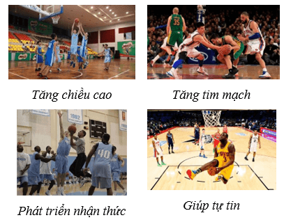 Giáo án GDTC 11 Kết nối tri thức Bài 1: Vai trò, tác dụng của môn Bóng rổ đối với sự phát triển thể chất