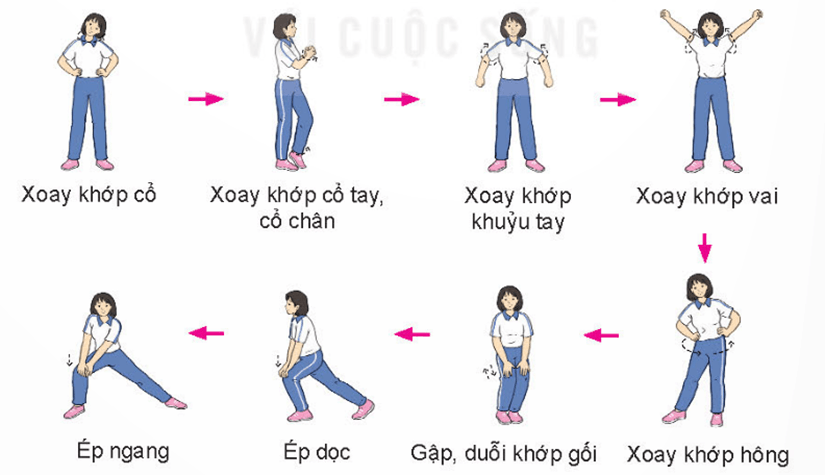 Giáo án GDTC 11 Kết nối tri thức Bài 2: Kĩ thuật dẫn bóng bằng mu ngoài bàn chân