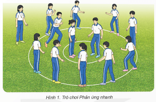 Giáo án GDTC 11 Kết nối tri thức Bài 2: Kĩ thuật dừng bóng bổng bằng đùi