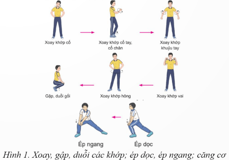 Giáo án GDTC 12 Kết nối tri thức Bài 1: Chiến thuật giao cầu trong thi đấu đôi
