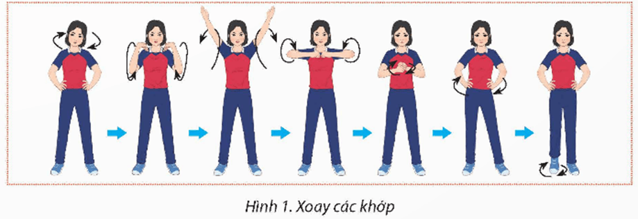 Giáo án GDTC 12 Kết nối tri thức Bài 1: Chiến thuật tấn công đội hình 1 - 5