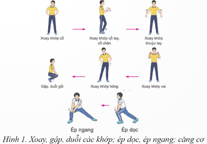 Giáo án GDTC 12 Kết nối tri thức Bài 1: Kĩ thuật bỏ nhỏ chéo thuận tay