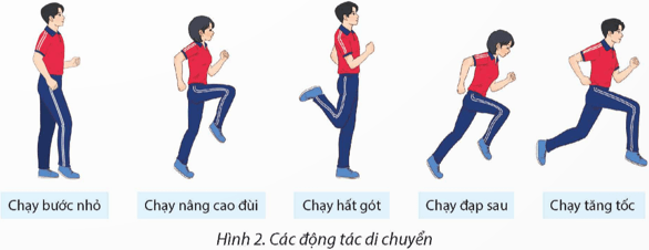 Giáo án GDTC 12 Kết nối tri thức Bài 1: Kĩ thuật di chuyển đổi hướng hình chữ V