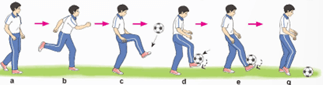 Giáo án GDTC 12 Kết nối tri thức Bài 1: Kĩ thuật dừng bóng bổng bằng mu giữa bàn chân