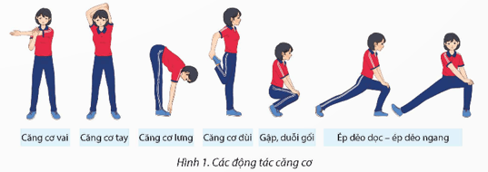 Giáo án GDTC 12 Kết nối tri thức Bài 1: Kĩ thuật xoay người 180° ném rổ