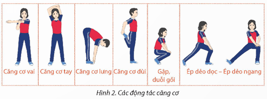 Giáo án GDTC 12 Kết nối tri thức Bài 2: Chiến thuật Phòng thủ đội hình số 6 lùi