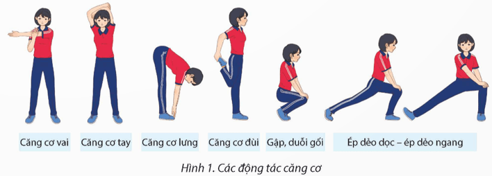 Giáo án GDTC 12 Kết nối tri thức Bài 2: Kĩ thuật chặn người tranh bóng bật bảng