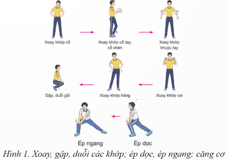 Giáo án GDTC 12 Kết nối tri thức Bài 2: Kĩ thuật đánh cầu cao trái tay