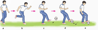 Giáo án GDTC 12 Kết nối tri thức Bài 2: Kĩ thuật dừng bóng nửa nảy bằng gan bàn chân