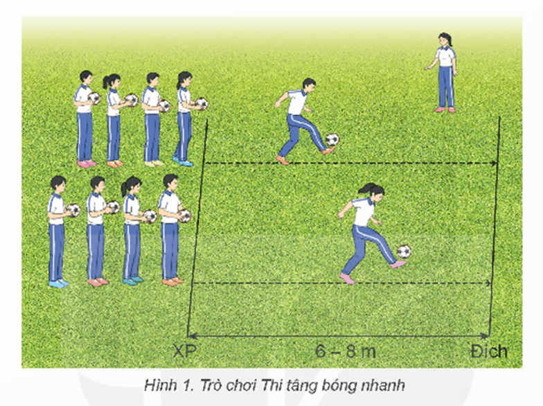 Giáo án GDTC 12 Kết nối tri thức Bài 2: Kĩ thuật phát bóng bằng mu giữa bàn chân