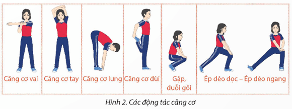 Giáo án GDTC 12 Kết nối tri thức Bài 2: Kĩ thuật phát bóng cao tay nghiêng mình