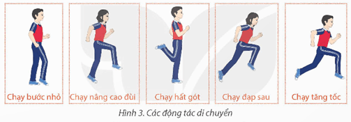 Giáo án GDTC 12 Kết nối tri thức Bài 2: Phối hợp di chuyển chuyền bóng cao tay bằng hai tay trước mặt