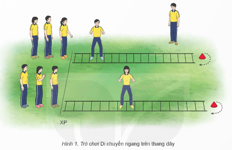 Giáo án GDTC 12 Kết nối tri thức Bài 3: Phối hợp kĩ thuật di chuyển tiến chéo bên phải bỏ nhỏ thuận tay
