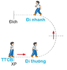 Giáo án Giáo dục thể chất lớp 2 Kết nối tri thức Bài 4: Bài tập phối hợp di chuyển nhanh dần theo vạch kẻ sang trái và sang phải