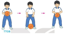 Giáo án Giáo dục thể chất lớp 3 Kết nối tri thức Bài 1: Bài tập bổ trợ với bóng