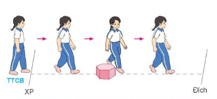 Giáo án Giáo dục thể chất lớp 3 Kết nối tri thức Bài 1: Bài tập phối hợp di chuyển vượt qua chướng ngại vật trên đường thẳng