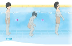 Giáo án Giáo dục thể chất lớp 3 Kết nối tri thức Bài 1: Đạp đáy bể (hồ) bơi nhô đầu kết hợp thở trong nước