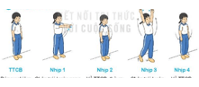 Giáo án Giáo dục thể chất lớp 3 Kết nối tri thức Bài 1: Động tác vươn thở, động tác tay