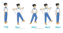 Giáo án Giáo dục thể chất lớp 3 Kết nối tri thức Bài 2: Động tác chân, động tác lườn, động tác bụng