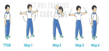 Giáo án Giáo dục thể chất lớp 3 Kết nối tri thức Bài 2: Động tác chân, động tác lườn, động tác bụng