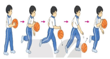 Giáo án Giáo dục thể chất lớp 3 Kết nối tri thức Bài 2: Động tác dẫn bóng theo hướng thẳng, dẫn bóng đổi hướng