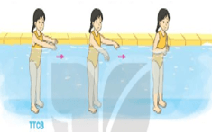 Giáo án Giáo dục thể chất lớp 3 Kết nối tri thức Bài 2: Khua tay trong nước